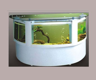 觀海水族魚缸的官網地址：生態魚缸的設計原理 觀海水族魚缸的官網地址：生態魚缸的設計原理 魚缸百科 第1張