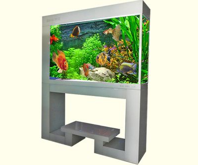 觀海水族魚缸的官網地址：生態魚缸的設計原理 觀海水族魚缸的官網地址：生態魚缸的設計原理 魚缸百科 第3張
