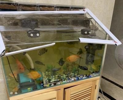 魚缸換水后出現白沫怎么辦：剛換水魚缸上出現白沫怎么辦