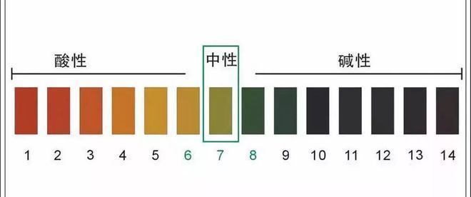 魚缸寵物蝦死亡原因：寵物蝦的死亡可能由多種因素引起
