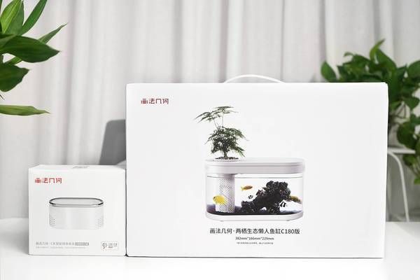 畫法幾何魚缸說明書:關于畫法幾何魚缸的說明書 魚缸百科 第5張 畫法幾何魚缸說明書:關于畫法幾何魚缸的說明書 畫法幾何魚缸說明書:關于畫法幾何魚缸的說明書 魚缸百科 第5張