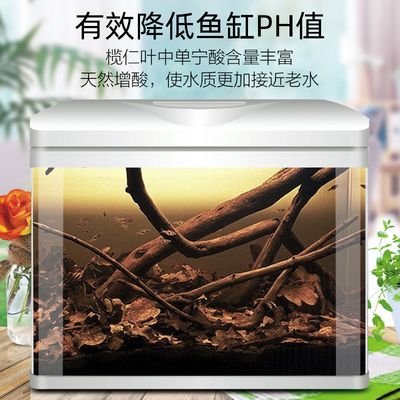 魚缸水質(zhì)管理全攻略除了欖仁葉之外，魚缸水質(zhì)管理攻略：欖仁葉在魚缸中的應用 魚缸水質(zhì)管理全攻略除了欖仁葉之外，魚缸水質(zhì)管理攻略：欖仁葉在魚缸中的應用 魚缸百科 第3張