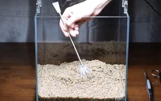 養(yǎng)小魚怎么布置魚缸最漂亮：養(yǎng)小魚的魚缸布置