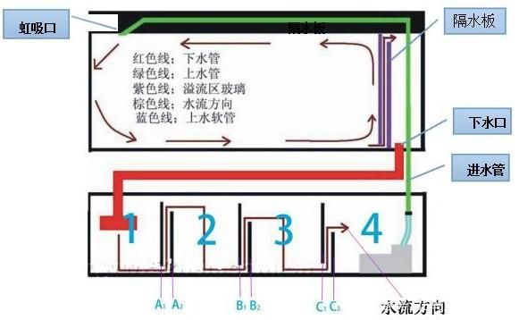 底濾魚缸防止溢流的方法包括以下幾個方面以下幾個方面：底濾魚缸如何防止溢流 底濾魚缸防止溢流的方法包括以下幾個方面以下幾個方面：底濾魚缸如何防止溢流 魚缸百科 第3張