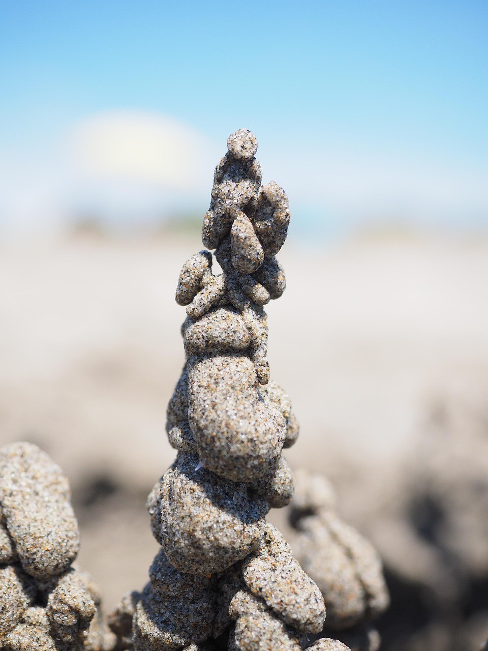 龍龜埋設后多久見效？ 龍龜埋設后多久見效？ 龍魚百科