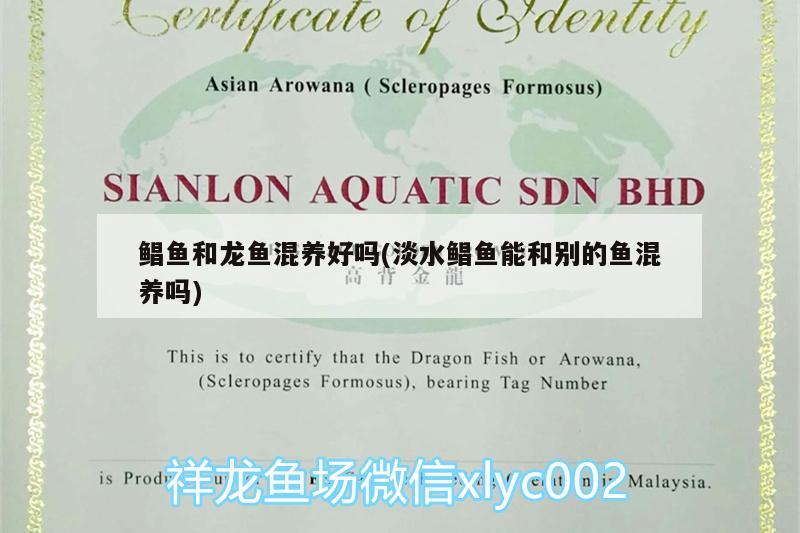 大連<strong><mark>中山</mark></strong>公園購物廣場老楊水族店