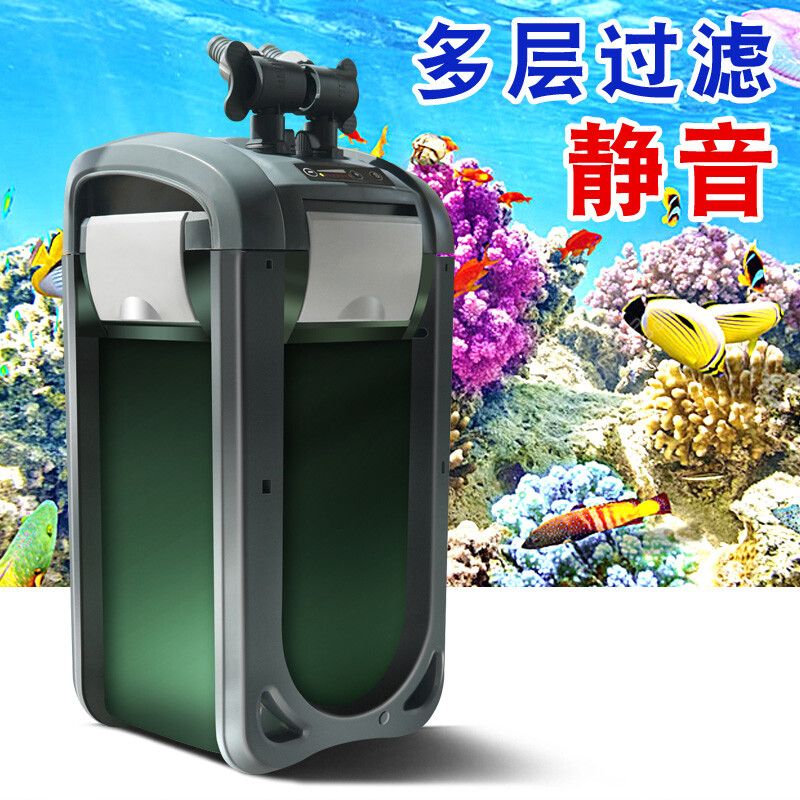 廣東博宇集團的潛力與挑戰：寵物用品市場的潛力與挑戰隨著寵物用品市場的潛力與挑戰 廣東博宇集團的潛力與挑戰：寵物用品市場的潛力與挑戰隨著寵物用品市場的潛力與挑戰 魚缸百科 第3張