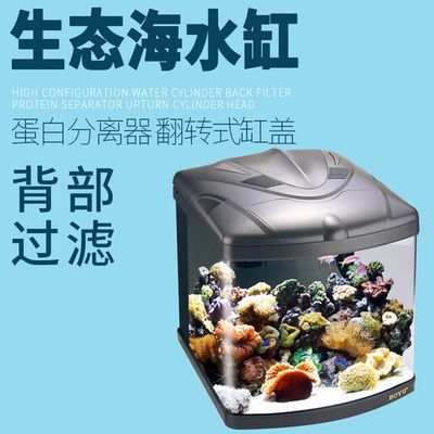 廣東博宇集團的潛力與挑戰：寵物用品市場的潛力與挑戰隨著寵物用品市場的潛力與挑戰 廣東博宇集團的潛力與挑戰：寵物用品市場的潛力與挑戰隨著寵物用品市場的潛力與挑戰 魚缸百科 第1張
