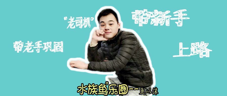 觀賞魚水霉病的自然療法：觀賞魚水霉病怎么治療