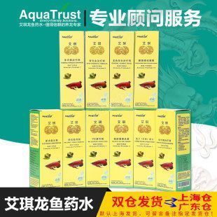 給龍魚做手術用什么藥（給龍魚做手術時選擇合適的藥物及其使用注意事項）