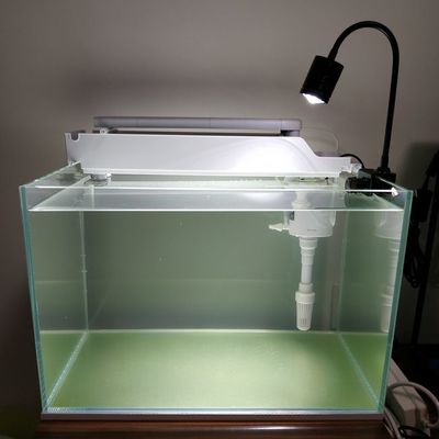 魚缸更改下過濾：魚缸更換下過濾的詳細步驟 魚缸更改下過濾：魚缸更換下過濾的詳細步驟 魚缸百科 第5張