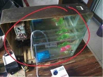 魚缸更改下過濾：魚缸更換下過濾的詳細步驟 魚缸更改下過濾：魚缸更換下過濾的詳細步驟 魚缸百科 第3張
