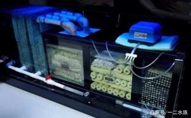 魚缸更改下過濾：魚缸更換下過濾的詳細步驟 魚缸更改下過濾：魚缸更換下過濾的詳細步驟 魚缸百科 第2張