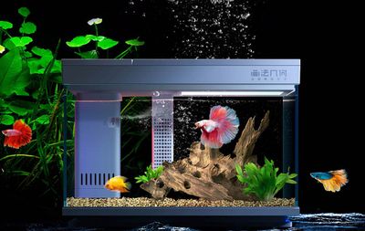 魚缸dh：dh魚缸價格對比分析dh魚缸價格對比