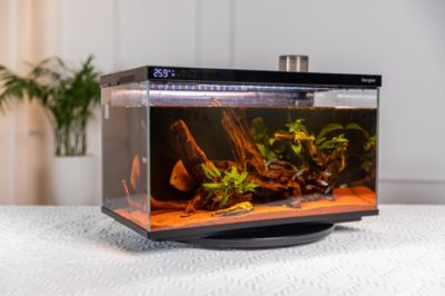 魚缸dh：dh魚缸價格對比分析dh魚缸價格對比