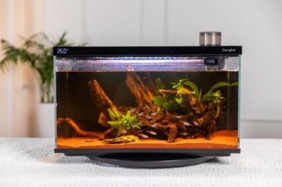 魚缸dh：dh魚缸價格對比分析dh魚缸價格對比