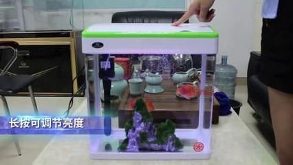 迷你小魚(yú)缸安裝視頻：如何在家中安裝一個(gè)迷你小魚(yú)缸