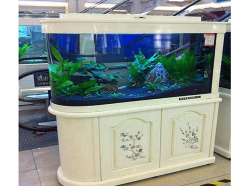 訂做魚缸亞克力（亞克力魚缸怎么樣？）