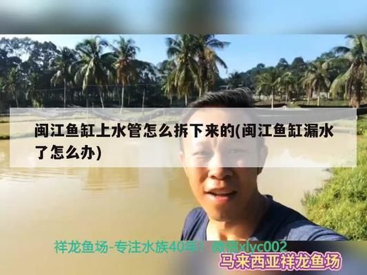 閩江魚缸水族箱：閩江魚缸/水族箱設計 閩江魚缸水族箱：閩江魚缸/水族箱設計 魚缸百科 第4張