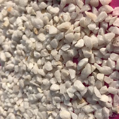 鄭州鞏義市水族用品市場分析：鞏義市寵物文化探秘鞏義市寵物文化探秘鞏義市寵物文化