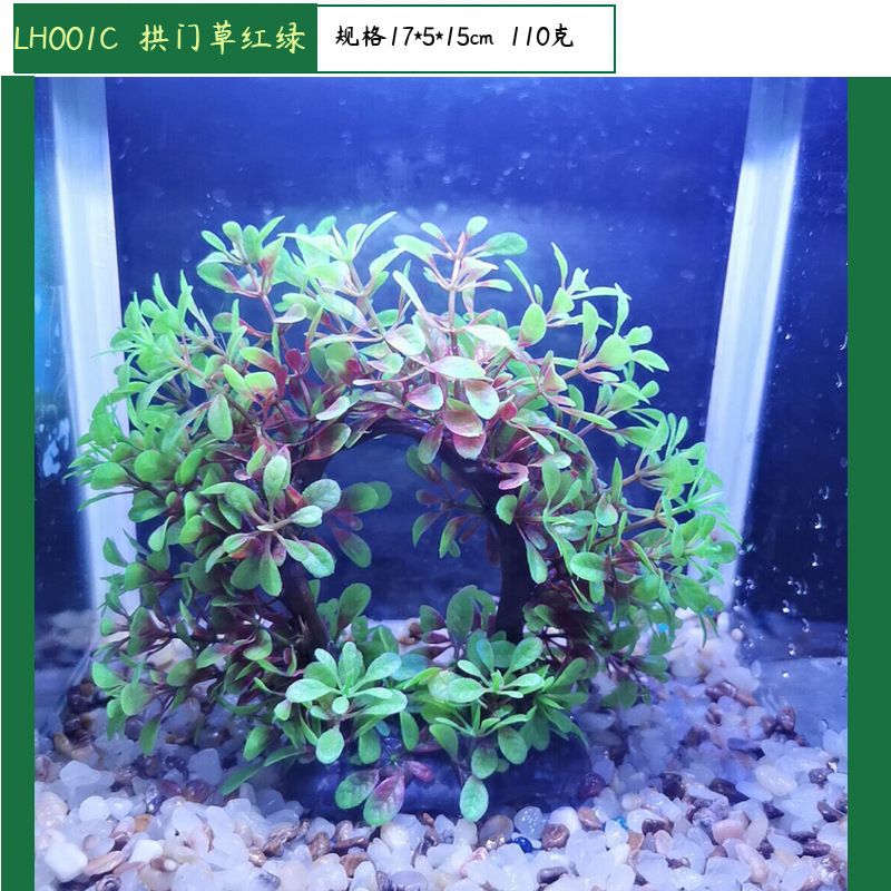 拱門魚缸造景的風格與技巧：拱門魚缸造景的技巧 拱門魚缸造景的風格與技巧：拱門魚缸造景的技巧 魚缸百科 第4張