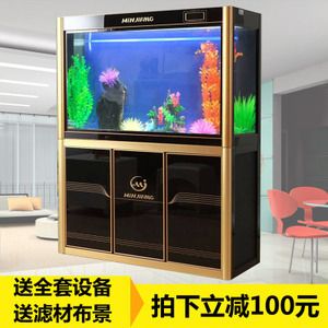 生態魚缸哪款好養：海洋生態魚缸哪款好養生態魚缸選購要點和特點