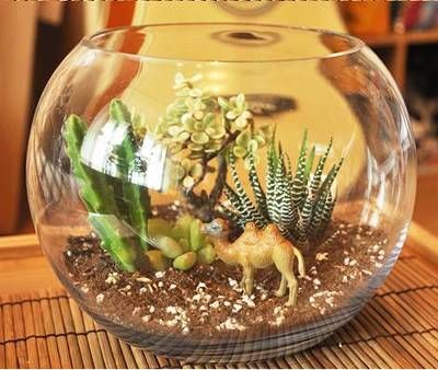 花盆改魚缸方法,diy,<花盆改魚缸方法,diy>：花盆改裝成魚缸的安全隱患花盆改裝成魚缸的安全隱患