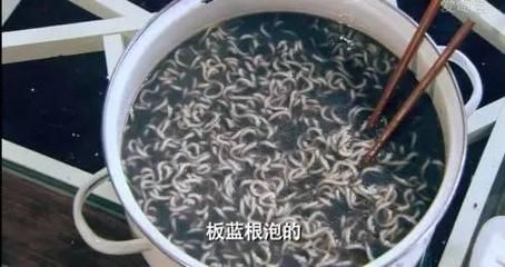 黑食魚和龍魚混養可以嗎：黑食魚和龍魚混養可以嗎黑食魚和龍魚混養可以嗎