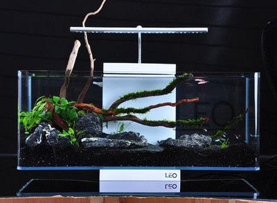 萊易歐魚缸是正規還是仿：萊易歐魚缸與競品對比分析萊易歐魚缸價格區間查詢