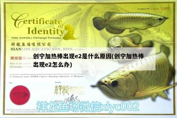魚(yú)缸加熱錯(cuò)誤代碼e2：魚(yú)缸加熱器e2故障如何處理
