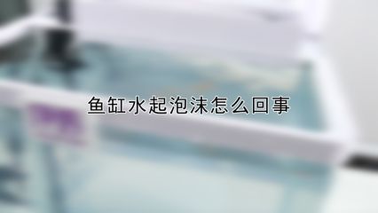 放鹽是養魚過程中的一種常見做法，可以用來殺菌、調節滲透壓和預防魚病：如何給魚缸放鹽
