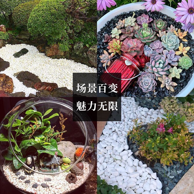 樂佳魚缸電話客服：樂佳魚缸電話客服是什么？