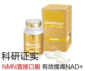 徐懷榮（徐懷榮,枝江）