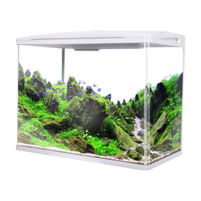 魚(yú)缸哪個(gè)牌子好？：最新魚(yú)缸品牌推薦