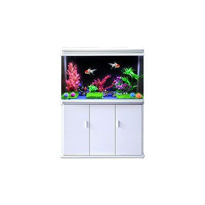 魚(yú)缸哪個(gè)牌子好？：最新魚(yú)缸品牌推薦