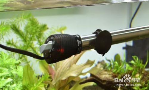 如何保持魚(yú)缸水溫穩(wěn)定：保持魚(yú)缸水溫穩(wěn)定的方法