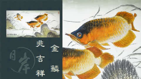 有沒有更多金龍魚動態(tài)壁紙推薦？
