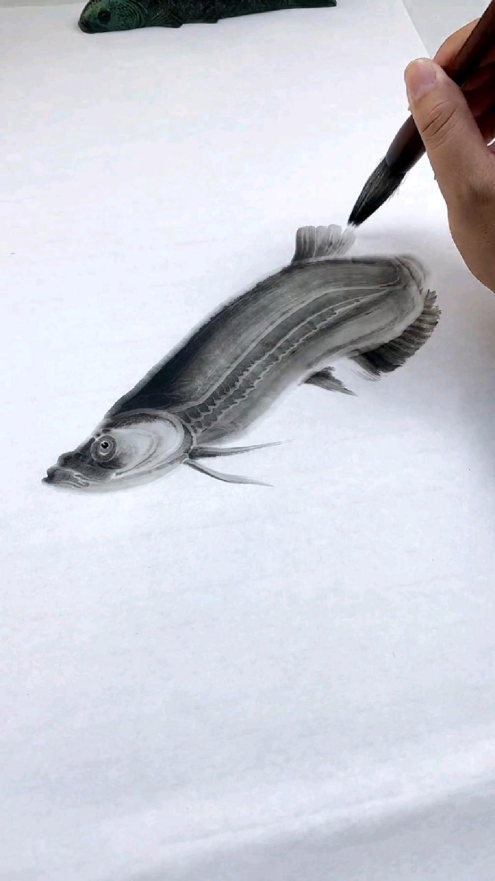 有沒有更多金龍魚動態(tài)壁紙推薦？