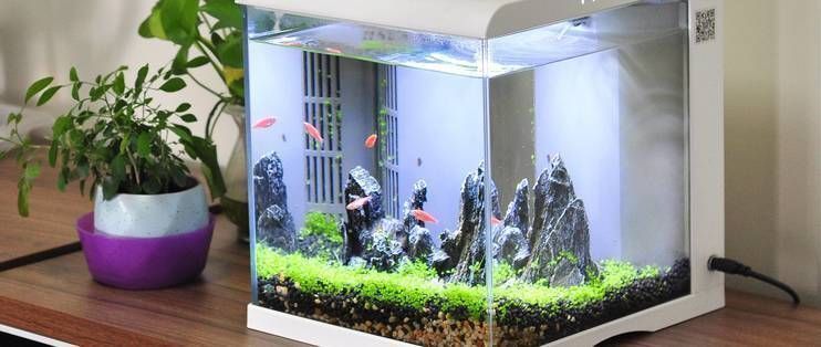 索一魚缸屬于什么檔次：索一魚缸與其他品牌對比，索一魚缸適合哪種消費群體