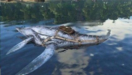 粗線和龍魚混養的結果顯示粗線和龍魚混養的結果:關于粗線魚和龍魚混養的問題 龍魚百科 第2張 粗線和龍魚混養的結果顯示粗線和龍魚混養的結果:關于粗線魚和龍魚混養的問題 粗線和龍魚混養的結果顯示粗線和龍魚混養的結果:關于粗線魚和龍魚混養的問題 龍魚百科 第2張
