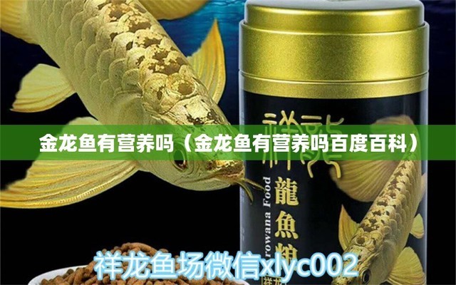 深圳市羅湖區(qū)六旺水族館（深圳市羅湖區(qū)六旺水族館地址） 深圳市羅湖區(qū)六旺水族館（深圳市羅湖區(qū)六旺水族館地址） 全國水族館企業(yè)名錄