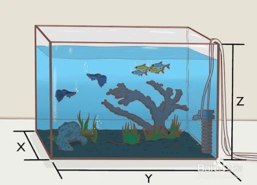 小學一年級數學題魚缸和魚，小學一年級數學題摘要：魚缸容積、計算魚的數量以及理解