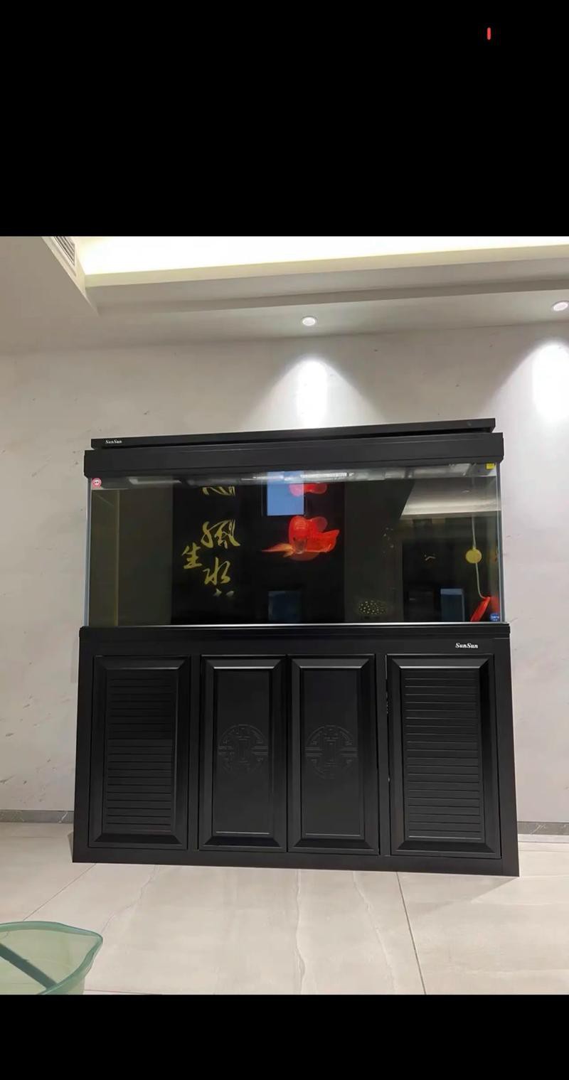 養金龍魚魚缸背景用什么顏色好看