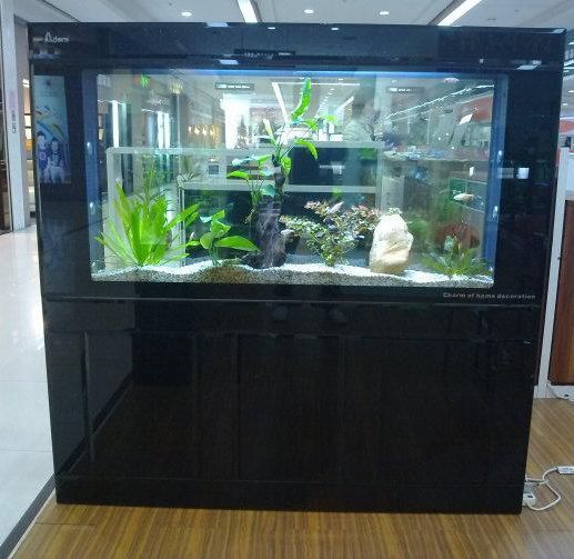 亮點(diǎn)水族魚缸售后服務(wù)：亮點(diǎn)水族魚缸售后常見問題解答亮點(diǎn)水族魚缸售后服務(wù)