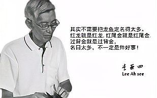 有哪些知名的金龍魚養殖場？