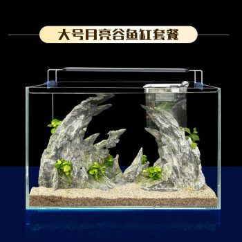 涵瑤伊笑魚缸：涵瑤伊笑魚缸裝飾品用戶評價涵瑤伊笑魚缸裝飾品用戶評價