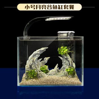 涵瑤伊笑魚缸：涵瑤伊笑魚缸裝飾品用戶評價涵瑤伊笑魚缸裝飾品用戶評價