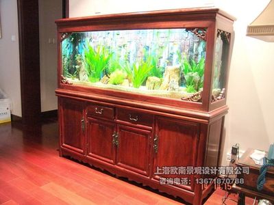 紅木魚缸的歷史演變：關(guān)于紅木魚缸的一些詳細(xì)信息