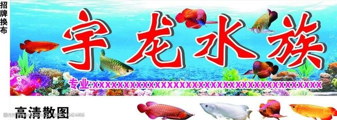 金龍魚招牌圖案，金龍魚招牌圖案在中國文化中是吉祥的象征 金龍魚招牌圖案，金龍魚招牌圖案在中國文化中是吉祥的象征 龍魚百科 第5張