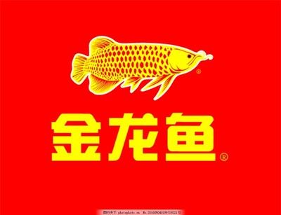金龍魚招牌圖案，金龍魚招牌圖案在中國文化中是吉祥的象征 金龍魚招牌圖案，金龍魚招牌圖案在中國文化中是吉祥的象征 龍魚百科 第2張